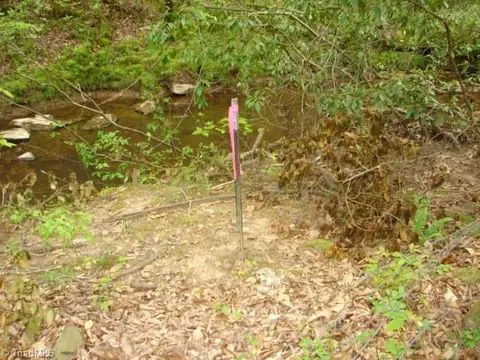 00 Dan Rd, Robbins, NC 27325 photo 37