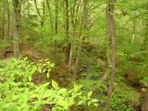 00 Dan Rd, Robbins, NC 27325 photo 24