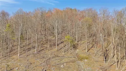 tbd Highlands Pkwy, Mouth Of Wilson, VA 24363