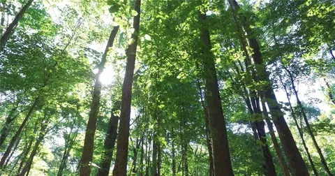 00 Lasater Rd, Clemmons, NC 27012