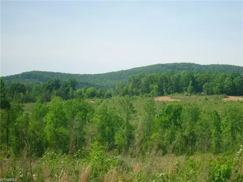 0 Farmer Denton Rd, Denton, NC 27239