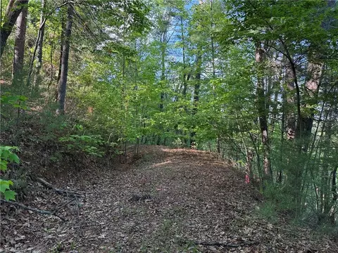 lot27 Wolf Pen Rd, Purlear, NC 28665 photo 5