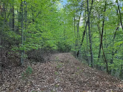 lot27 Wolf Pen Rd, Purlear, NC 28665 photo 6