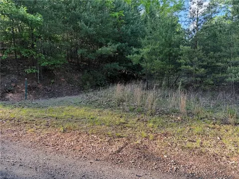 lot27 Wolf Pen Rd, Purlear, NC 28665 photo 19