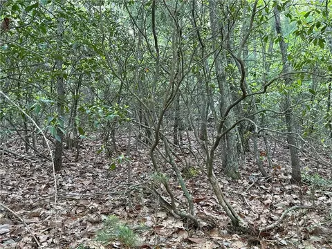 lot27 Wolf Pen Rd, Purlear, NC 28665 photo 12