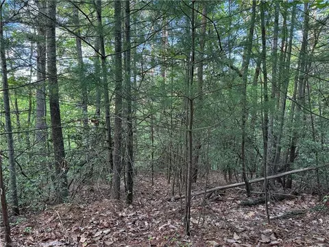 lot27 Wolf Pen Rd, Purlear, NC 28665 photo 13