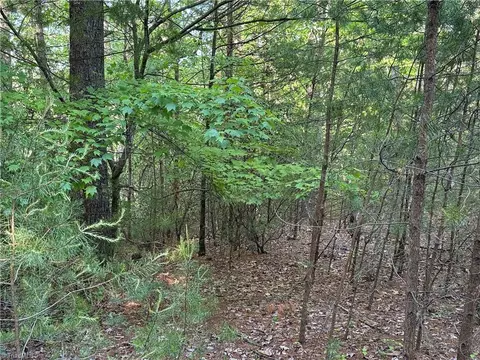 lot27 Wolf Pen Rd, Purlear, NC 28665 photo 11
