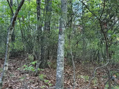 lot27 Wolf Pen Rd, Purlear, NC 28665 photo 8
