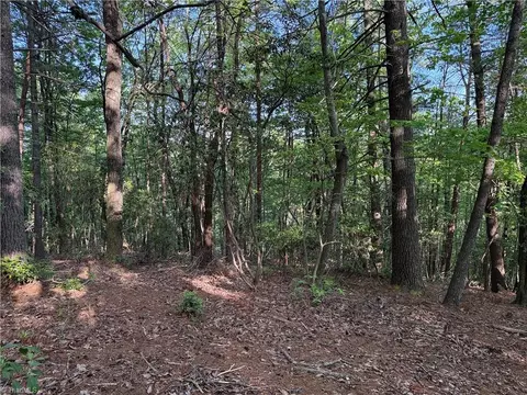 lot27 Wolf Pen Rd, Purlear, NC 28665 photo 17