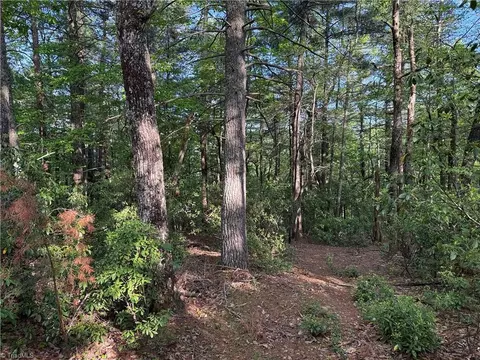 lot27 Wolf Pen Rd, Purlear, NC 28665 photo 2