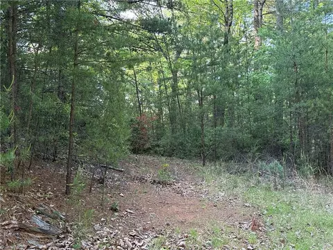 lot27 Wolf Pen Rd, Purlear, NC 28665 photo 9