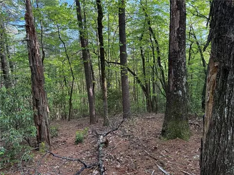 lot27 Wolf Pen Rd, Purlear, NC 28665 photo 15