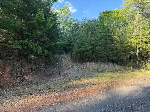 lot27 Wolf Pen Rd, Purlear, NC 28665 photo 20