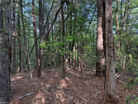 lot27 Wolf Pen Rd, Purlear, NC 28665 photo 16