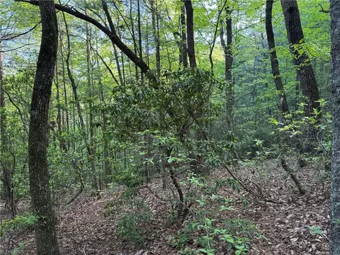 lot27 Wolf Pen Rd, Purlear, NC 28665 photo 18