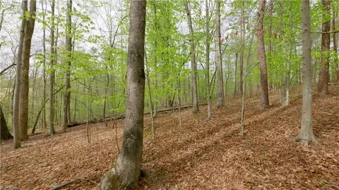 2 Thomas Farm Rd, King, NC 27021 photo 8