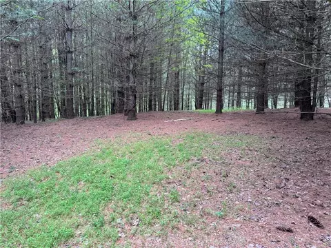 x Green Meadow Lane #5 AC S, Ararat, NC 27007