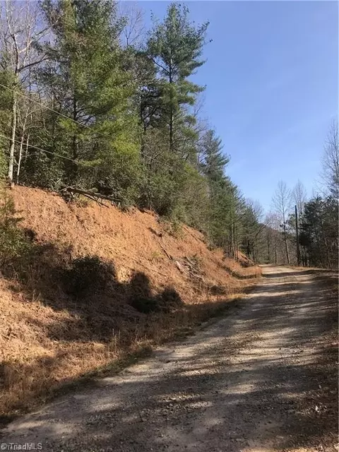 lot7 Valley View Dr, Purlear, NC 28665 photo 30