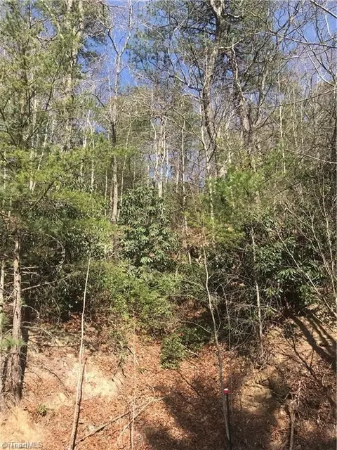 lot7 Valley View Dr, Purlear, NC 28665 photo 32