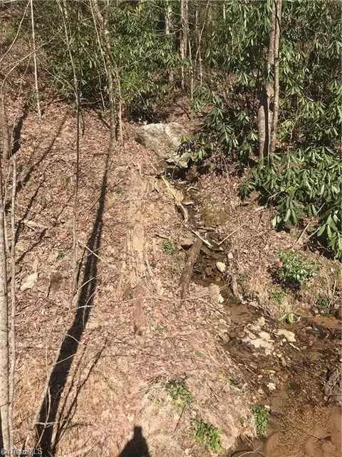 lot7 Valley View Dr, Purlear, NC 28665 photo 16
