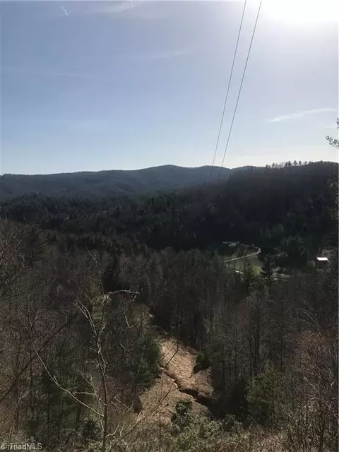 lot7 Valley View Dr, Purlear, NC 28665 photo 40