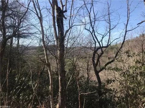 lot7 Valley View Dr, Purlear, NC 28665 photo 26