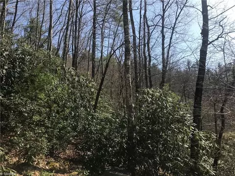 lot7 Valley View Dr, Purlear, NC 28665 photo 6