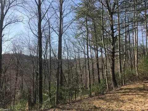 lot7 Valley View Dr, Purlear, NC 28665 photo 12
