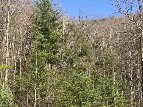 lot7 Valley View Dr, Purlear, NC 28665 photo 36