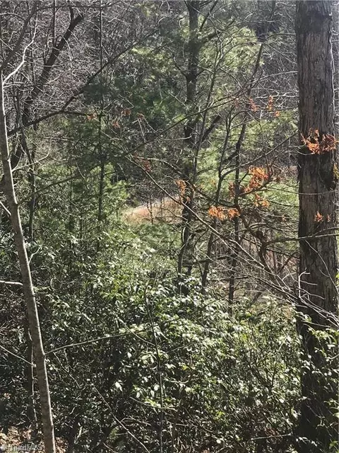 lot7 Valley View Dr, Purlear, NC 28665 photo 7