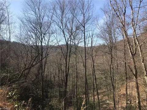 lot7 Valley View Dr, Purlear, NC 28665 photo 23