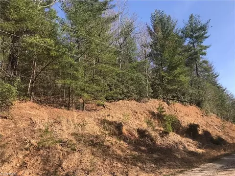 lot7 Valley View Dr, Purlear, NC 28665 photo 29