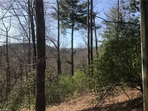 lot7 Valley View Dr, Purlear, NC 28665 photo 11