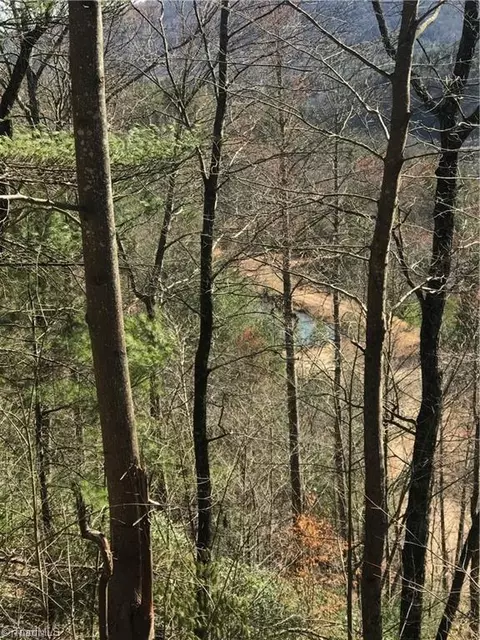 lot7 Valley View Dr, Purlear, NC 28665 photo 34