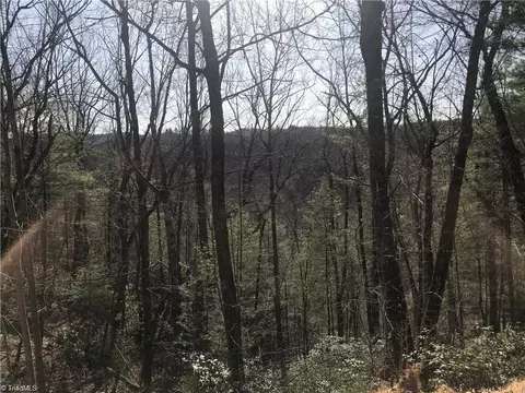 lot7 Valley View Dr, Purlear, NC 28665 photo 31