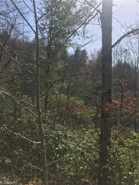 lot7 Valley View Dr, Purlear, NC 28665 photo 4