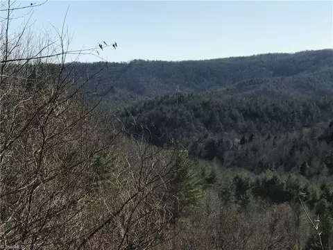 lot7 Valley View Dr, Purlear, NC 28665