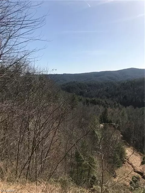 lot7 Valley View Dr, Purlear, NC 28665 photo 39