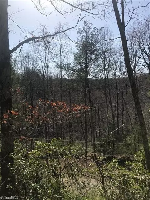 lot7 Valley View Dr, Purlear, NC 28665 photo 5