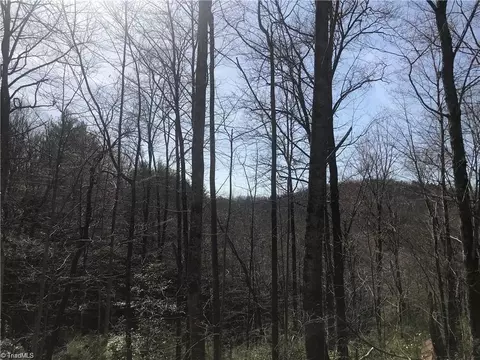 lot7 Valley View Dr, Purlear, NC 28665 photo 14