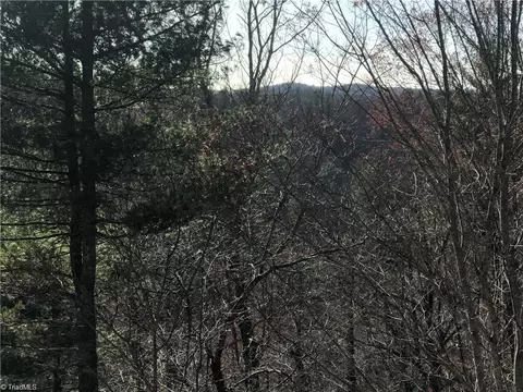 lot7 Valley View Dr, Purlear, NC 28665 photo 38