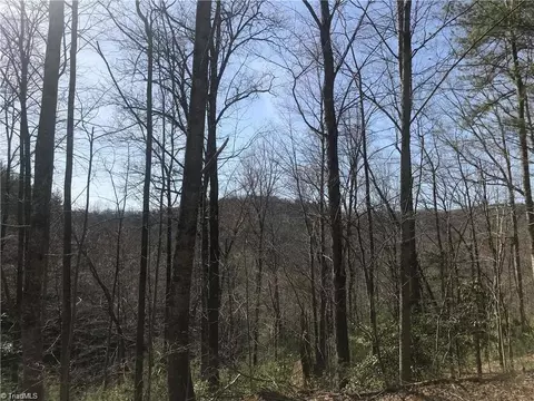 lot7 Valley View Dr, Purlear, NC 28665 photo 13