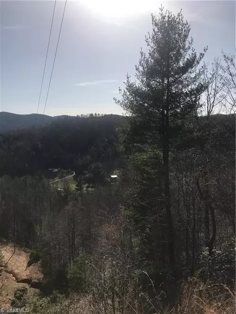 lot7 Valley View Dr, Purlear, NC 28665 photo 41
