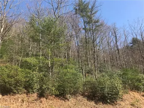 lot7 Valley View Dr, Purlear, NC 28665 photo 9