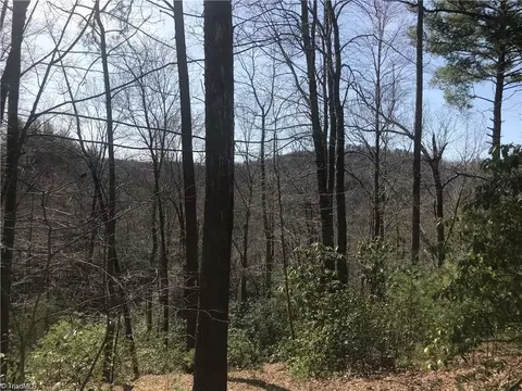 lot7 Valley View Dr, Purlear, NC 28665 photo 10