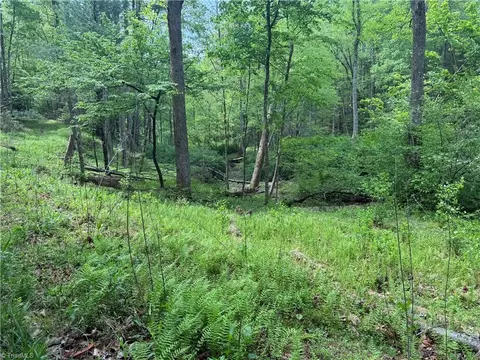 tbd Wildcat Rd, Deep Gap, NC 28618 photo 13