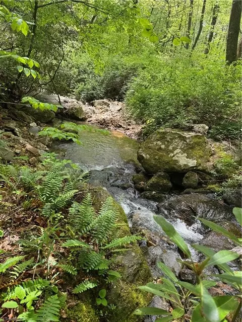tbd Wildcat Rd, Deep Gap, NC 28618 photo 20