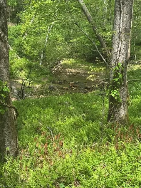 tbd Wildcat Rd, Deep Gap, NC 28618 photo 21