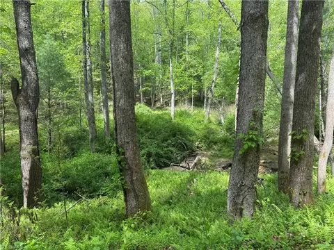 tbd Wildcat Rd, Deep Gap, NC 28618 photo 14