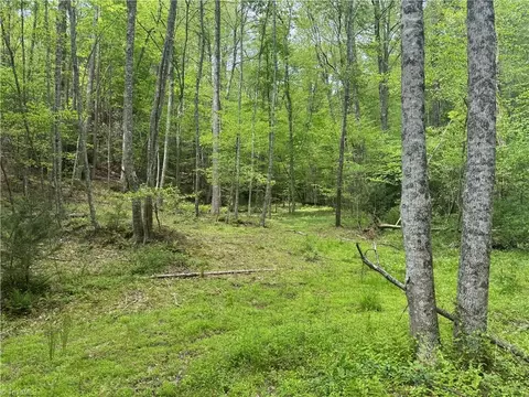 tbd Wildcat Rd, Deep Gap, NC 28618 photo 25